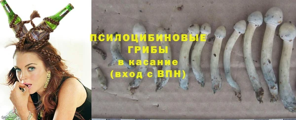 метадон Аркадак