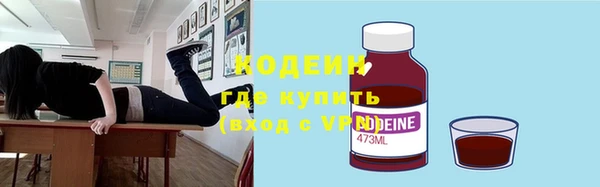 хмурый Арсеньев