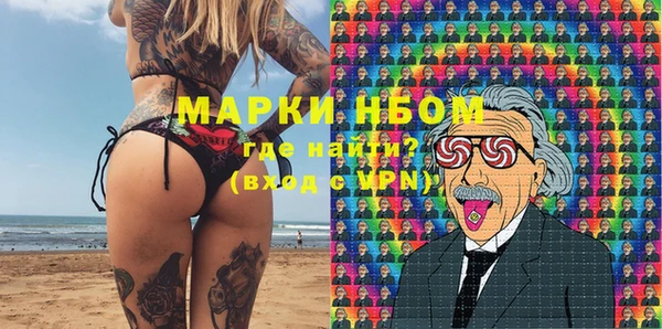 хмурый Арсеньев