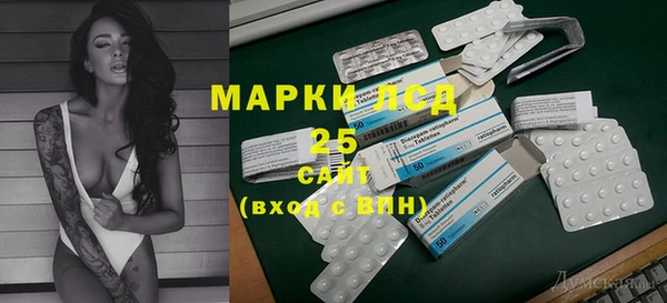 хмурый Арсеньев