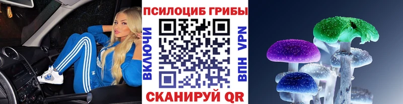 Галлюциногенные грибы прущие грибы  Пикалёво 